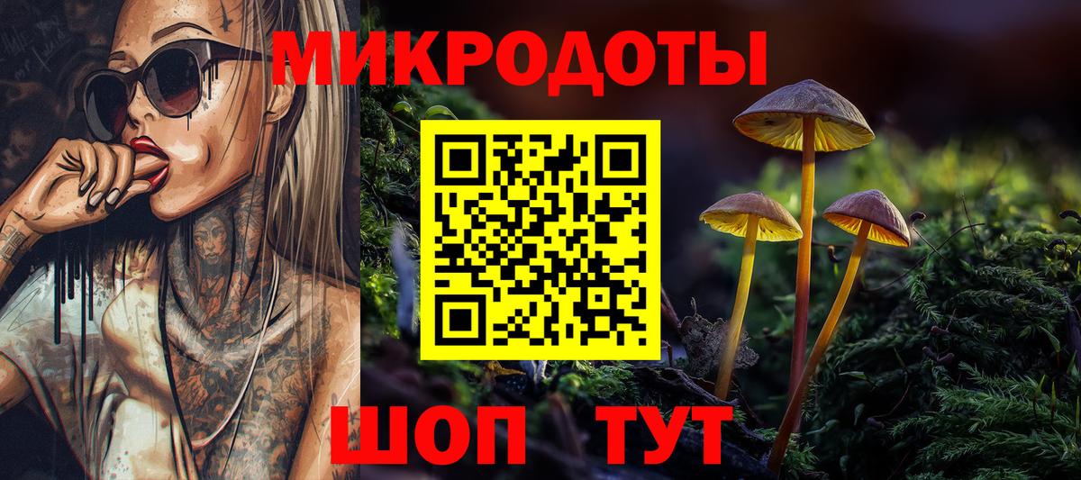 Псилоцибиновые грибы прущие грибы Славянск-на-Кубани