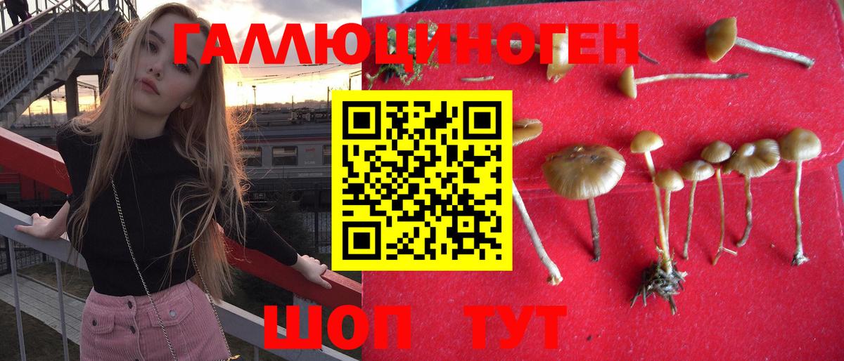 Галлюциногенные грибы прущие грибы  Вход с VPN  Псилоцибиновые грибы мицелий  Славянск-на-Кубани 